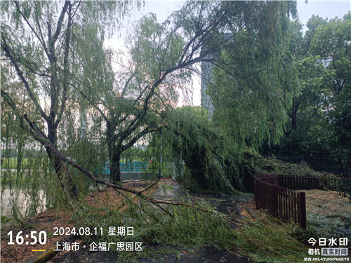 樹(shù)枝折斷1_副本1.jpg
