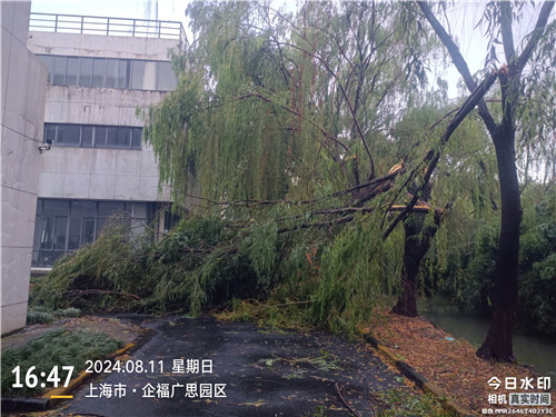 樹(shù)枝折斷2_副本1.jpg