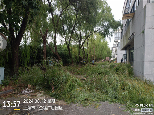 樹(shù)枝折斷-處理2_副本.jpg